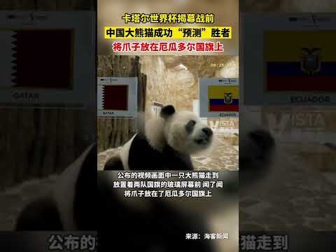 焦点速递,热刺半场领,先桑德兰,乐竞体育平台,乐竞体育官方网站,乐竞体育登录入口,乐竞体育app下载