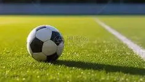 中国农行外汇汇率查询